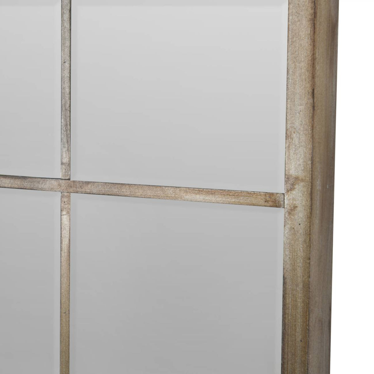 Blakely Champagne/Gold Floor Standing Leaning Mirror - 100x180cm